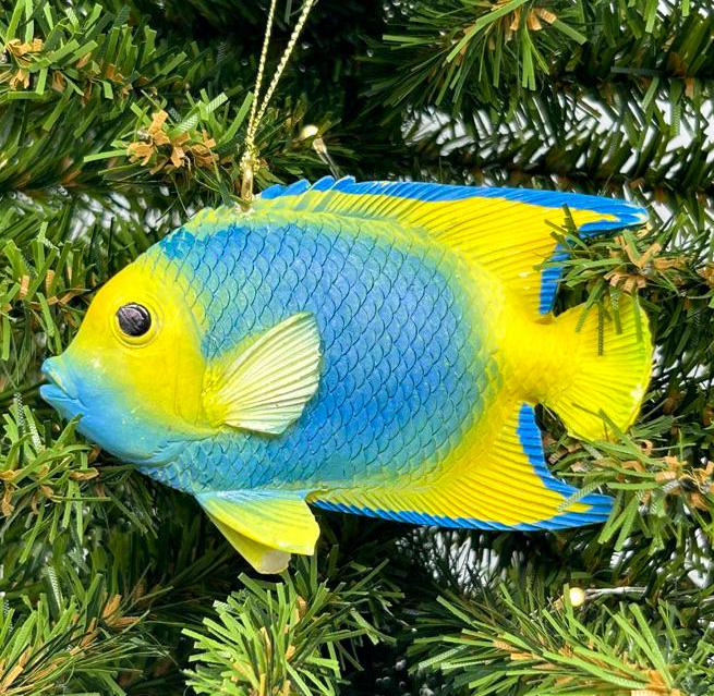 Blue and Yellow Angel Fish / Reef Fish Ornament