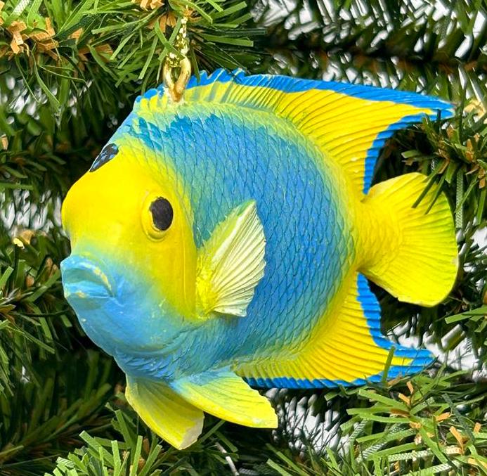 Blue and Yellow Angel Fish / Reef Fish Ornament