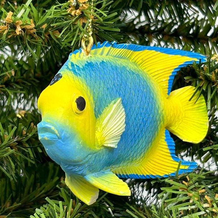 Blue and Yellow Angel Fish / Reef Fish Ornament
