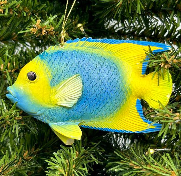Blue and Yellow Angel Fish / Reef Fish Ornament