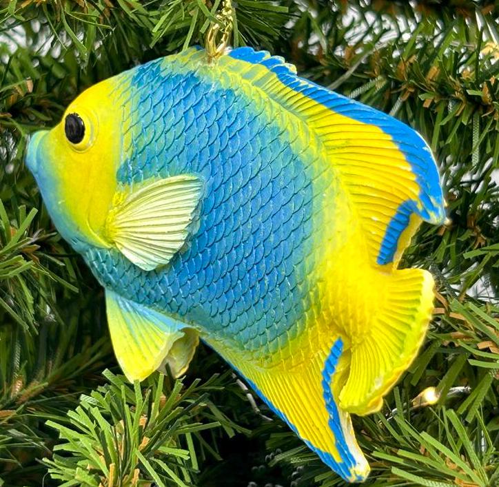 Blue and Yellow Angel Fish / Reef Fish Ornament