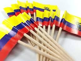 Ecuador Flag Toothpicks