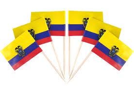 Ecuador Flag Toothpicks