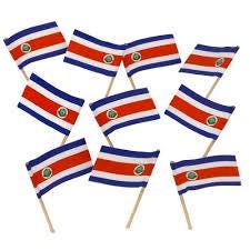 Costa Rica Flag Toothpicks