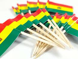 Bolivia Flag Toothpicks