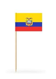 Ecuador Flag Toothpicks
