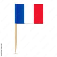 France Flag Toothpick