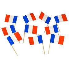 France Flag Toothpick