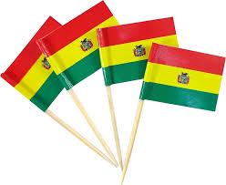 Bolivia Flag Toothpicks